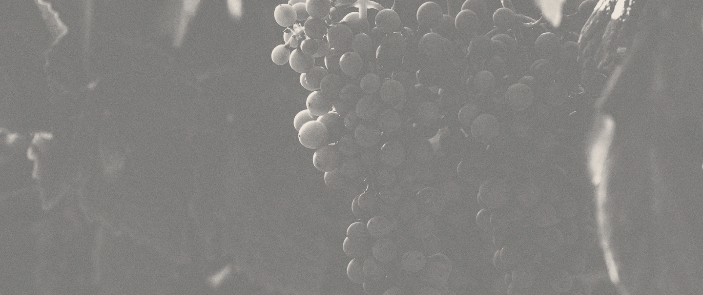 Logo Image Example Logo Image Example